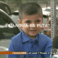 RealThatKestrel-max-1mb (1).gif