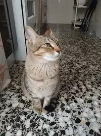 mia wallace cocina diciembre 2019.webp