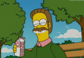 ned flanders milk moustache.gif
