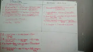 WhatsApp Image 2018-03-30 at 12.02.41.webp