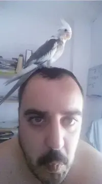 DISjyI48YOk.webp