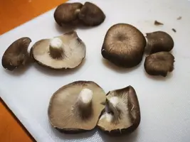 IMG_20200603_190100.jpg IMG_20200603_190100.jpg