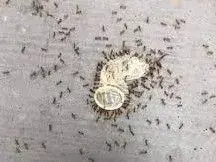 images (8)_1_1_1.webp