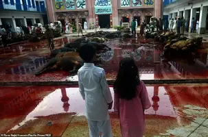 31467584-8583423-Children_look_on_at_the_ritual_sacrifice_at_the_at_Jamia_Naeemia-a-92_159635...webp
