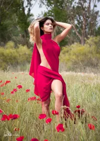 sironialessandra - 2208064.jpg