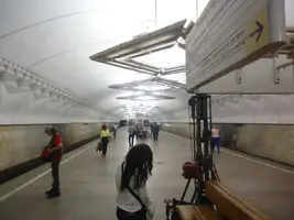 adios metro adios.webp