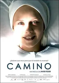 Camino-996322995-large.webp
