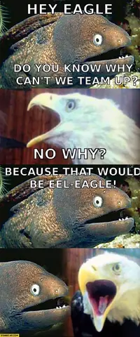 hey-eagle-do-you-know-why-cant-we-team-up-because-that-would-be-eel-eagle.webp