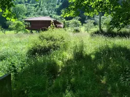 WhatsApp Image 2020-09-19 at 22.07.21.webp