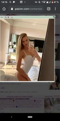 SCAR_Screenshot_24230644336118.webp