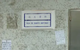 P1020527 - copia.JPG