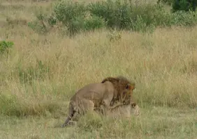 P1000754_1.JPG P1000754_1.JPG