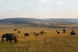 IMG_20190329_091048.jpg IMG_20190329_091048.jpg