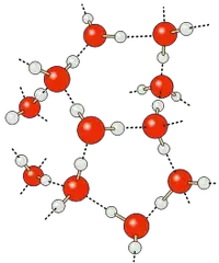 220px-Wasserstoffbrückenbindungen-Wasser.svg.webp