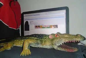 Sin título.webp