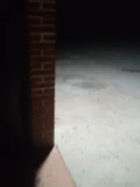 16028018955732229329045591710021.webp