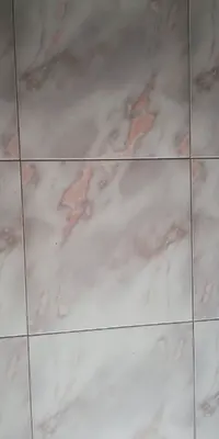 WhatsApp Image 2020-10-25 at 12.00.31.webp