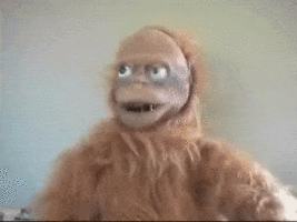 giphy-downsized.gif