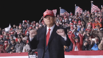 VID-20201103-WA0018_1_1_1.gif