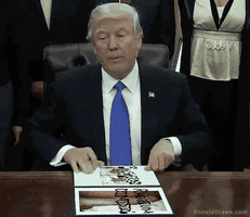 DonaldDraws1604505075287.gif