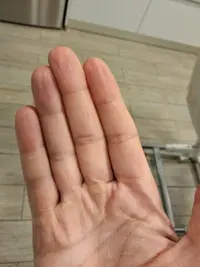 1605388105326970865660369418565.webp