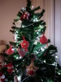 IMG_20201206_212832.webp