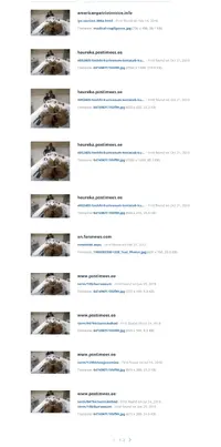 Screenshot_2020-12-09 17 TinEye search results.webp