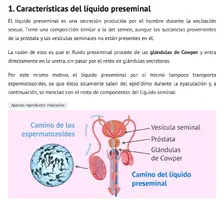 Captura de pantalla 2020-12-16 a las 19.43.52.webp