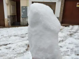 Foto Polla Nieve.webp
