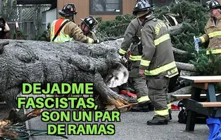 ZomboMeme 12012021131913.webp