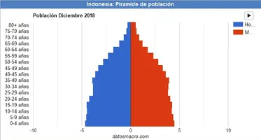 Screenshot_2021-01-17 Indonesia - Piramide de población 2018.webp