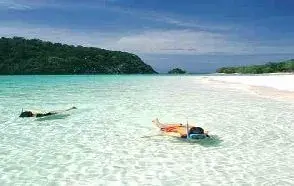 snorkling.webp