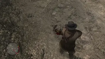 WhatsApp Image 2021-05-05 at 21.02.08.webp