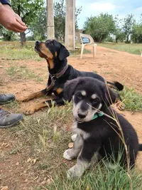 WhatsApp Image 2021-04-24 at 19.36.35.webp