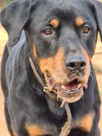 WhatsApp Image 2021-04-24 at 19.36.35 (1).webp