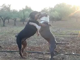 WhatsApp Image 2021-05-08 at 22.16.52.jpeg