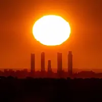 BOLA TURCOCHINA.webp