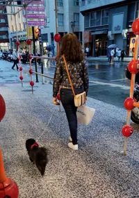 1622320660037 (1).webp