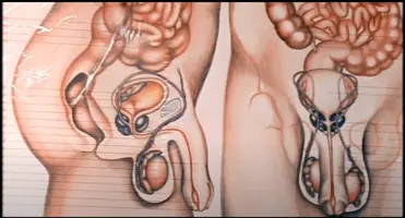 Screenshot 2021-06-19 at 20.28.23.webp