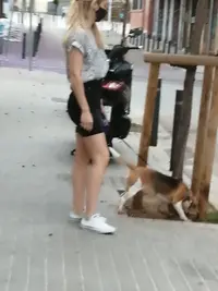 Unknown-4 copia.webp