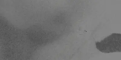 Captura de pantalla de 2021-06-23 19-33-56.webp