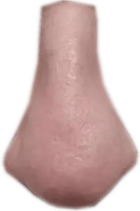 napia.webp