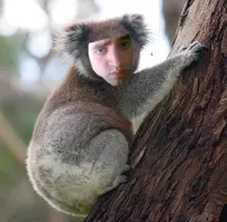 ZomboMeme 16072021234942.webp