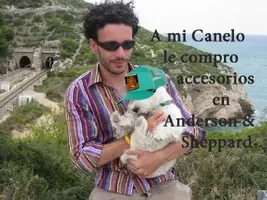 ZomboMeme 24072021180830.webp