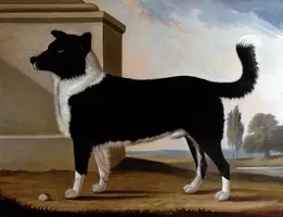 Lord-Byrons-dog-Boatswain-002.webp