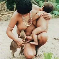 Native-Guaja-from-northeastern-Brazil-breastfeeding-a-wild-pig-Source-Pisco-Del-Gaiso_Q320.webp