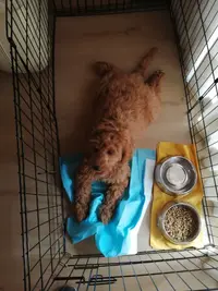 WhatsApp Image 2021-08-13 at 19.00.22.jpeg