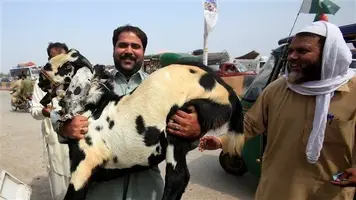160912_d87pg_rci-eidaladha_sn635.webp