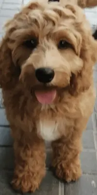 Captura de pantalla 2021-08-20 a las 13.46.51.webp