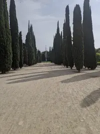 IMG_PixelCam_20210824_165800.EzPixelcam 15 (v.2).xml.webp